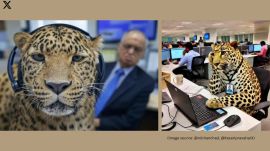 Leopard spotted at Infosys Mysuru sparks memes