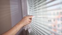 domestic work person cleaning window house work maid feminine hand wiping