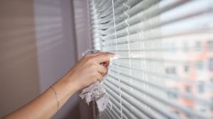 domestic work person cleaning window house work maid feminine hand wiping