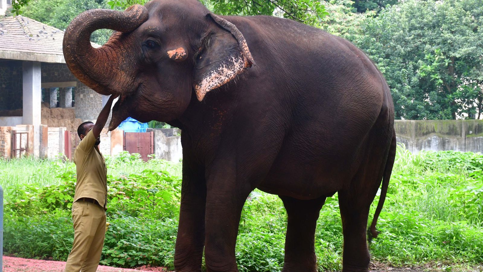 Mumbai Zoo