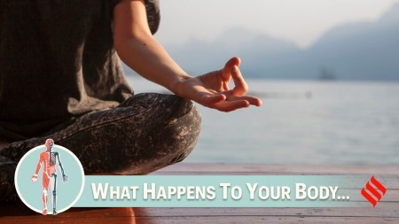 What are the key physiological changes that occur during such brief meditation sessions?
