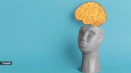 What is the Mandela effect?