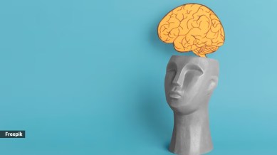 What is the Mandela effect?