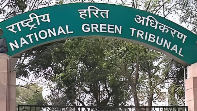 Dhanauri wetland conservation Jewar airdrome  vertebrate  sanctuary, NGT, National Green Tribunal