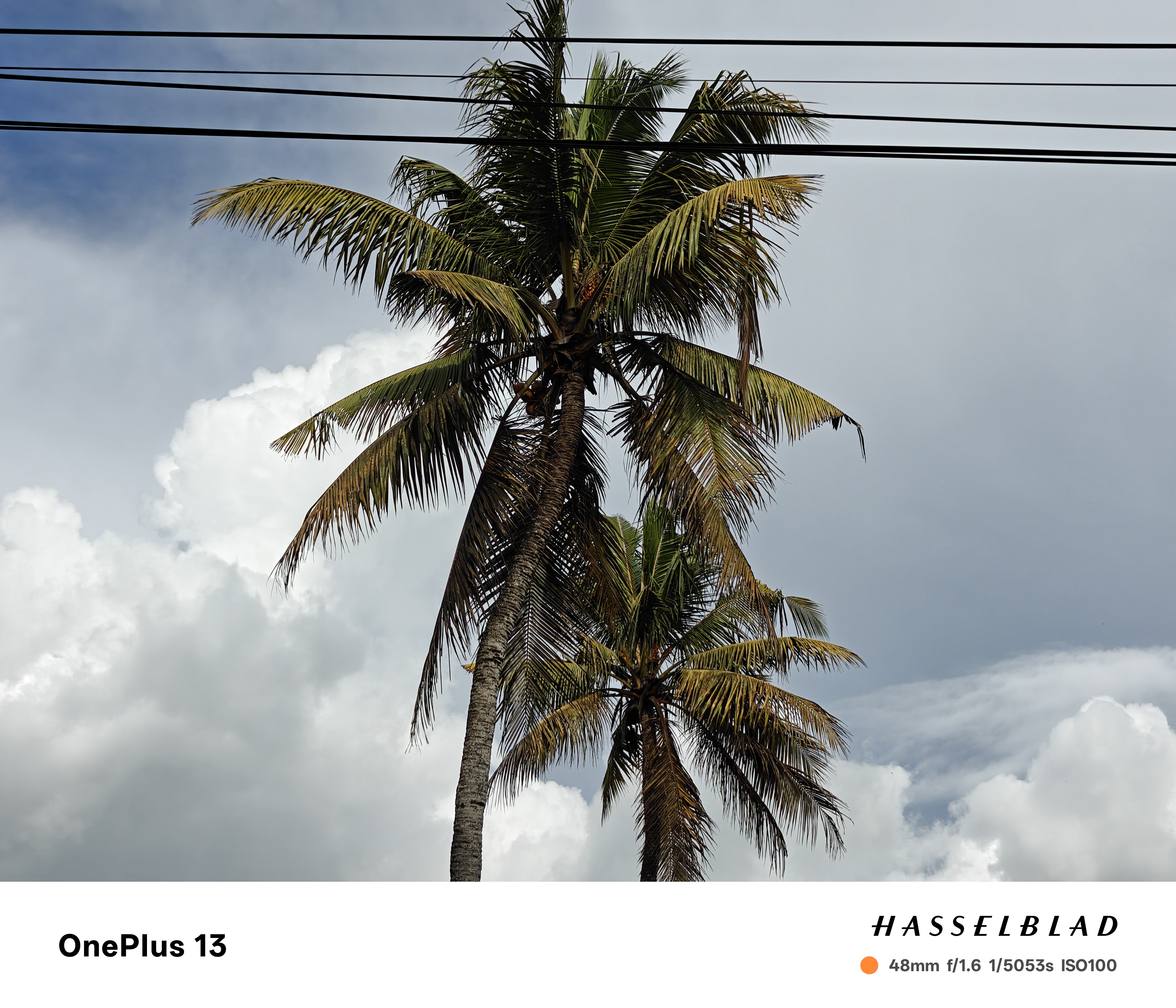 OnePlus 13 camera sample