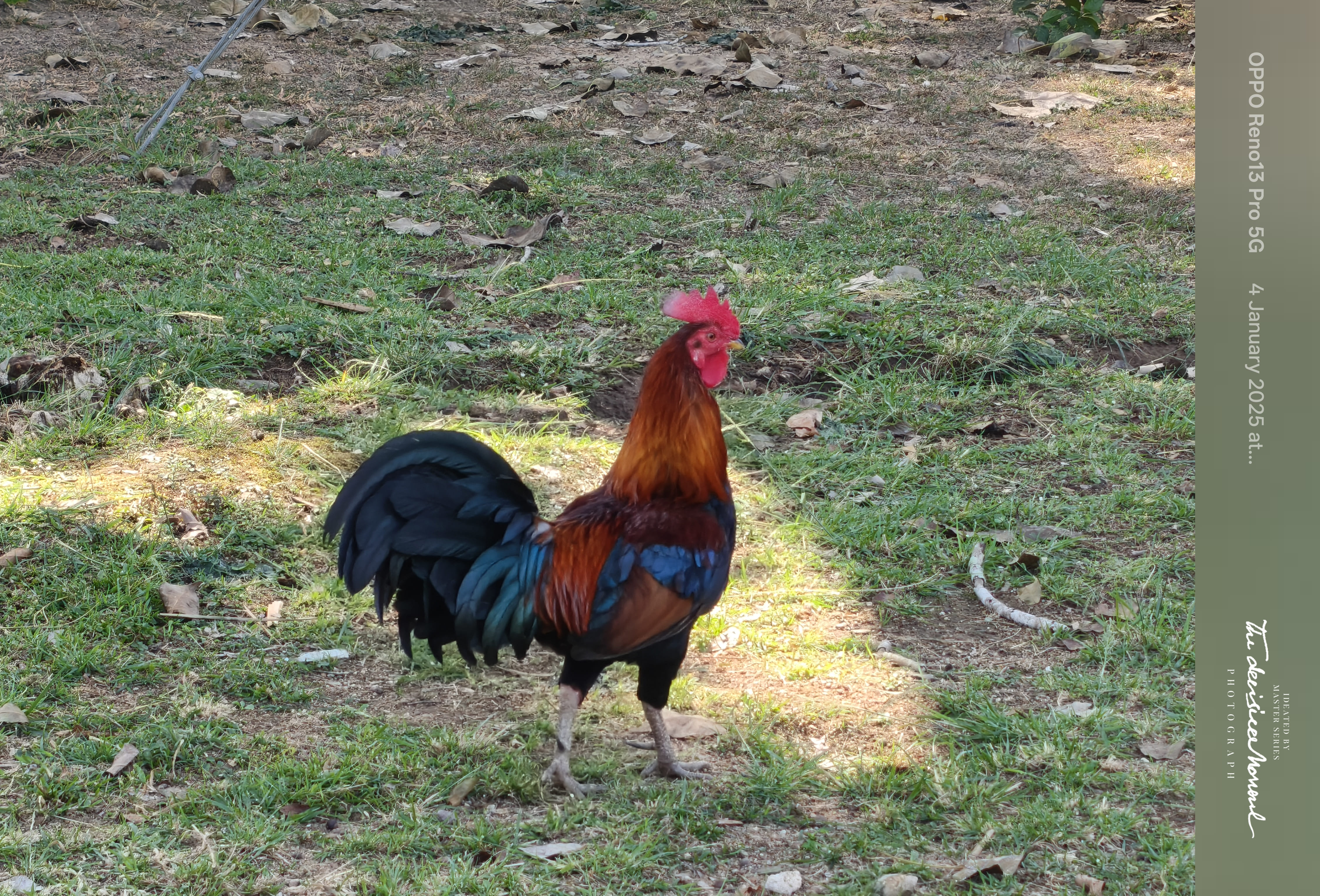 OPPO Reno 13 Pro camera sample