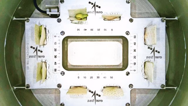 ISRO, cow pea, SpaDeX mission, knowledge nugget