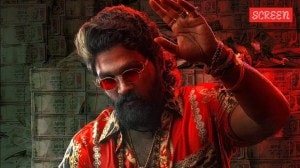 Pushpa 2 worldwide box office collection day 28: