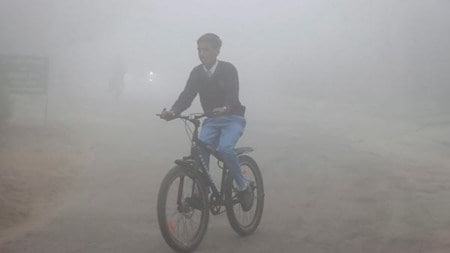 Schools Closed: Jharkhand, Bihar & more; state-wise list of schools closed on December 28