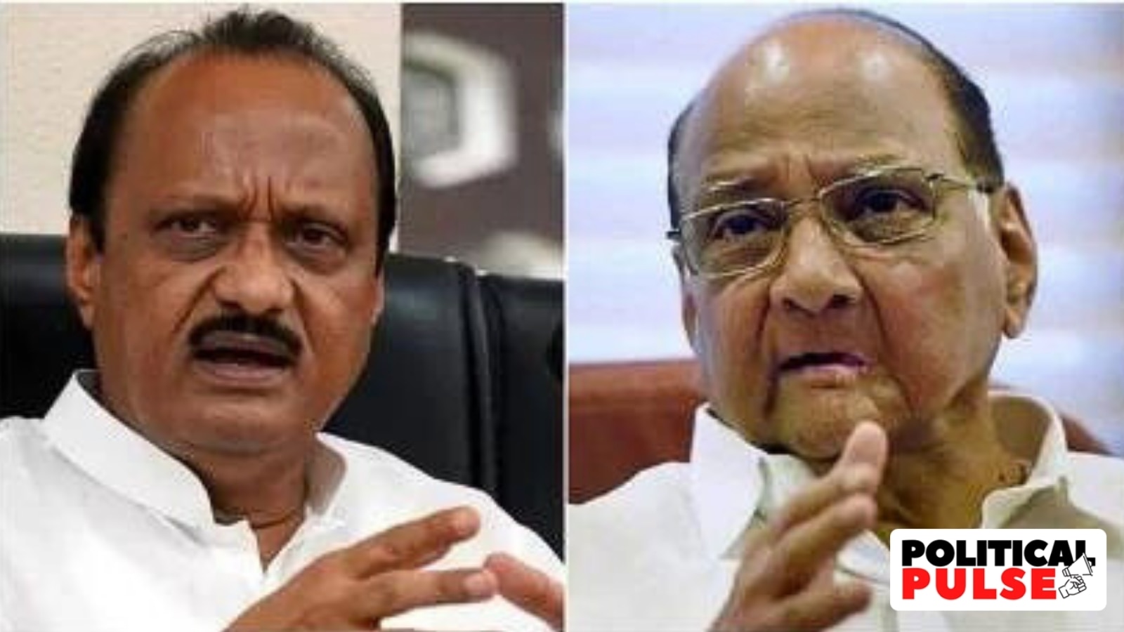 Maharashtra NCP factions seek Pawar family reunion post-election.