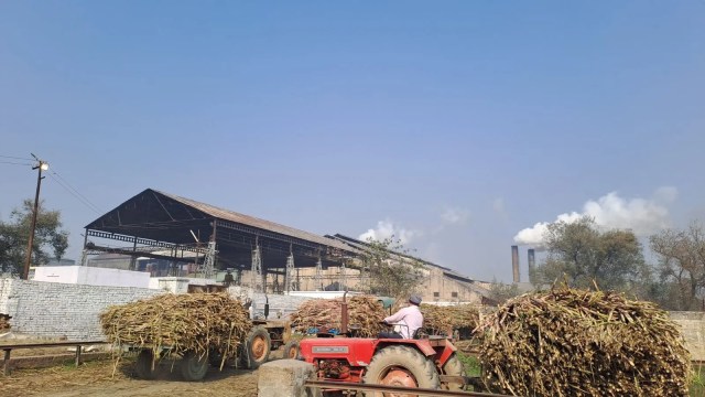 sugarcane industry, mharashtra, amerind  express