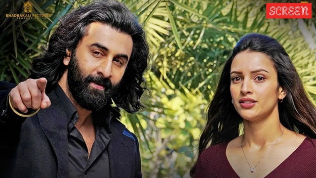Triptii Dimri and Ranbir Kapoor in Animal
