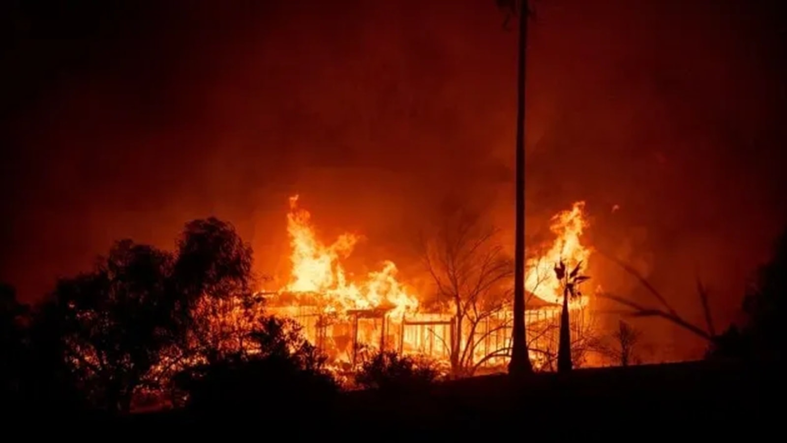 Wildfires ignite infection risks, by weakening body’s immune defences, spreading bugs in smoke