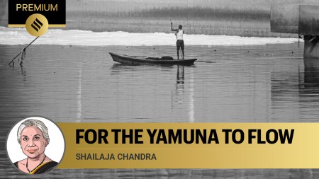 yamuna pollution, delhi, express opinion, indian express