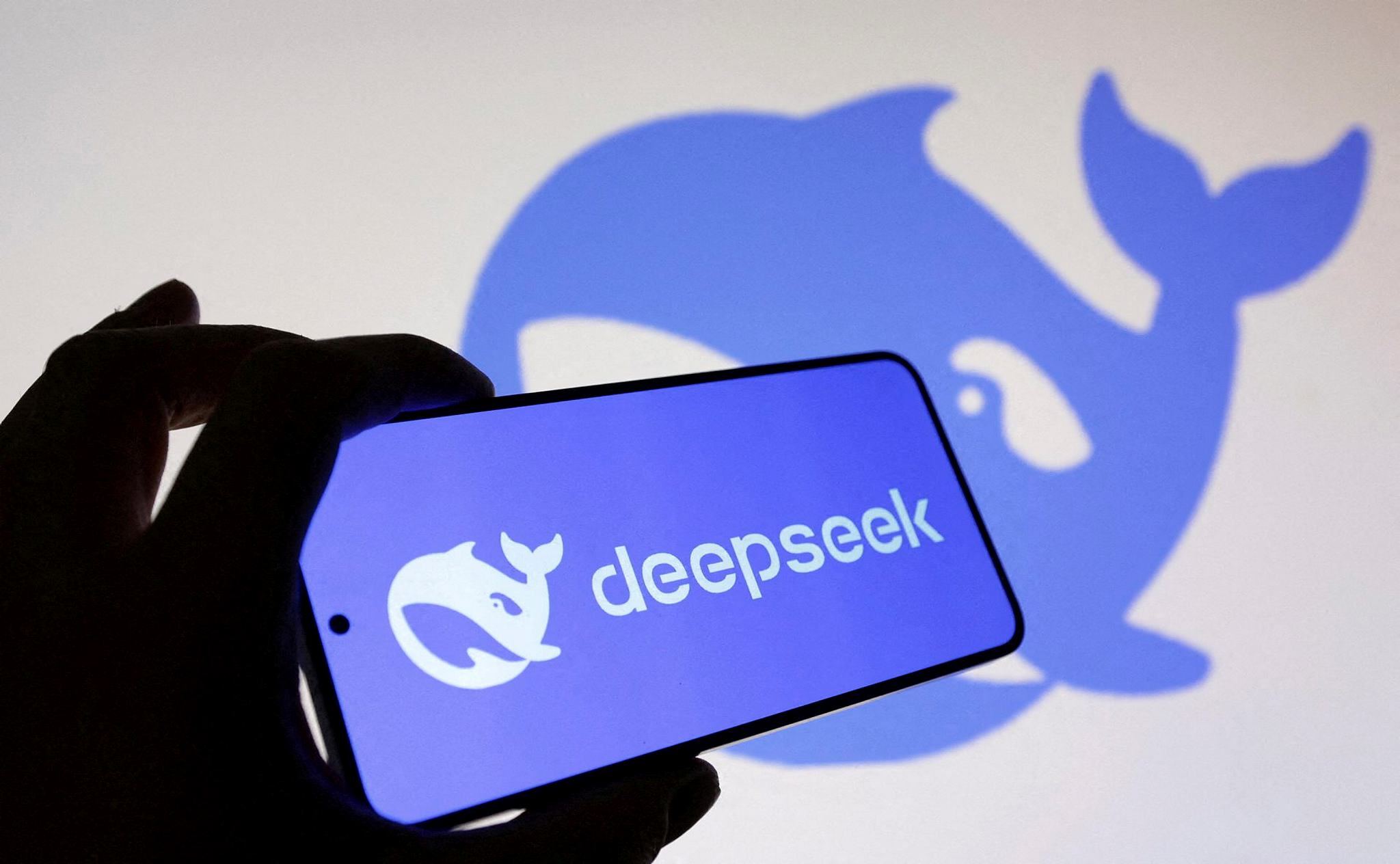 The Deepseek logo is seen in this illustration taken on January 29, 2025. (REUTERS/Dado Ruvic/Illustration/File Photo)