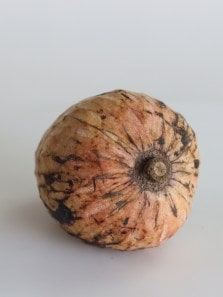 Health benefits of Ramphal: A nutrient-packed tropical fruit