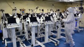 bat coronavirus, China, pandemic