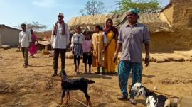 Bhil tribal families