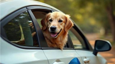 BluSmart rides for pet travel are cleaned after every trip and they come with foldable dog-seat hammocks. (Image: BluSmart)