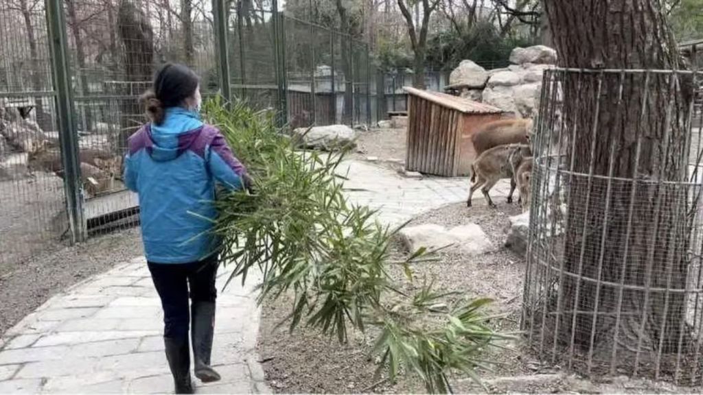 China woman