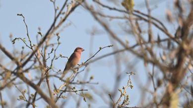 Delhi Development Authority