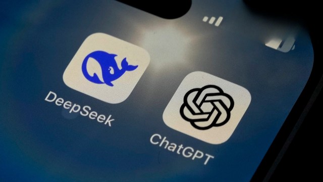 Deepseek Chat GPT concern   ministry order