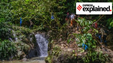Migrants walk across the Darien Gap from Colombia into Panama, on Oct. 6, 2022. President Donald Trump’s border czar, Tom Homan, asserted in an interview with the New York Times that flights carrying Venezuelan migrants in the United States back to Venezuela to begin “within the next 30 days.” (Federico Rios/The New York Times)