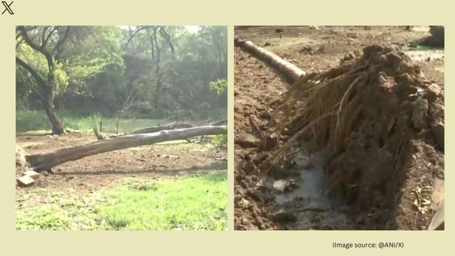 Prime Minister Narendra Modi urged people to follow the necessary precautions and stay calm (Image source: @ANI/X)