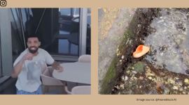 A fan recorded the moment, claiming that the slide was the one Drake had thrown at the drone (Image source: @FearedBuck/X)