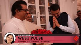 Devendra Fadnavis meets Raj Thackeray