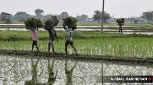 Agriculture ministry