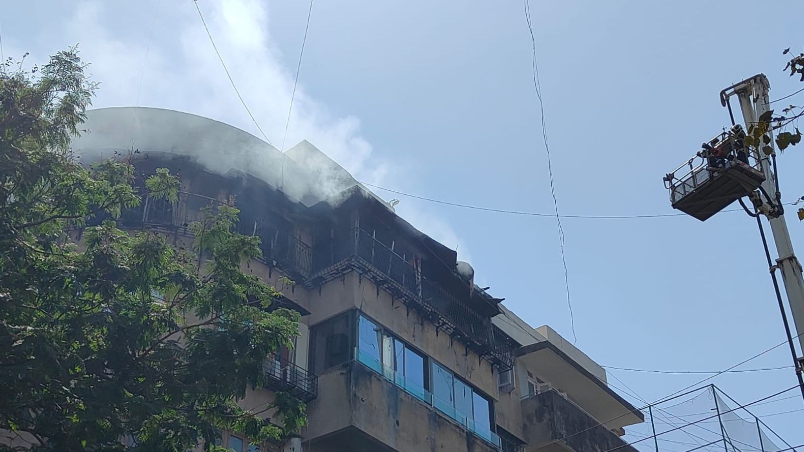 At present, five fire engines and five jumbo tankers have been deployed for fire-fighting operations.