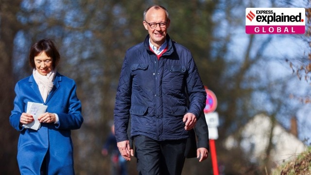 Friedrich Merz, Germany elections