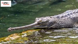 UPSC Essentials | Daily subject-wise quiz : Environment and Geography (Week 99)