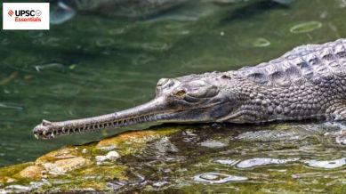 UPSC Essentials | Daily subject-wise quiz : Environment and Geography (Week 99)