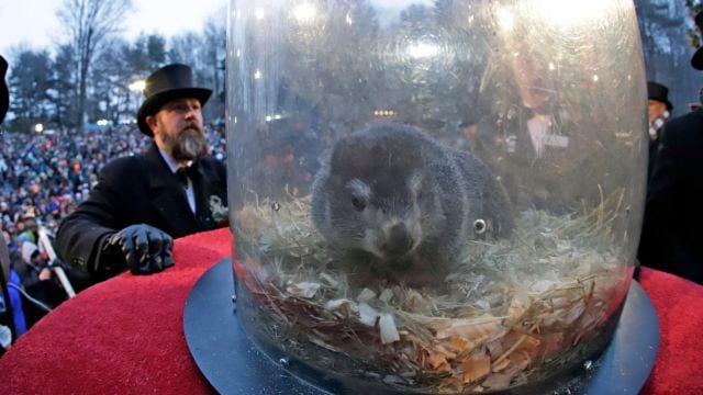 What is Groundhog Day and why does it fall on February 2? | World News