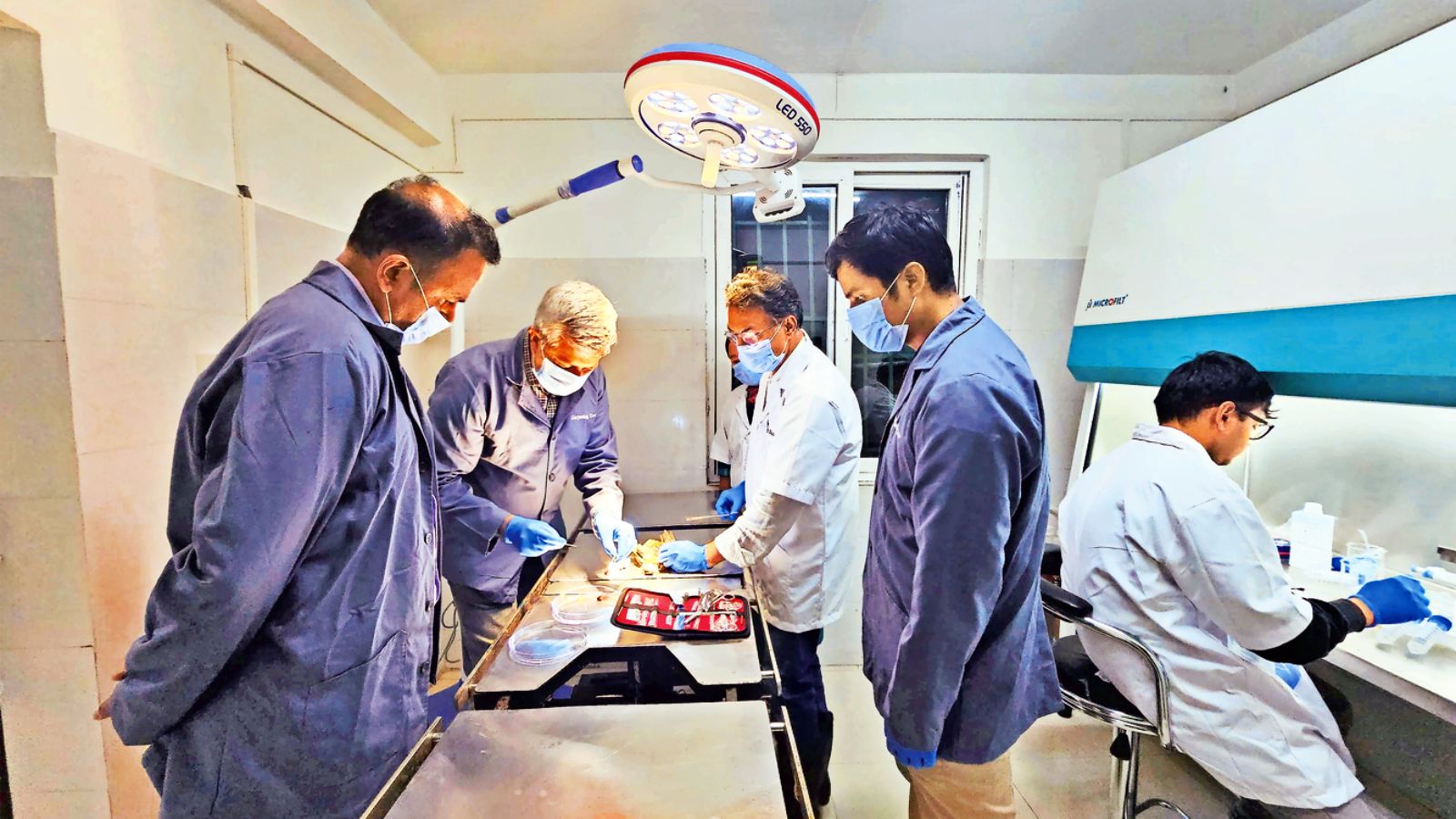 Darjeeling Zoo, Darjeeling Zoo biobank, Darjeeling Zoo biobank to collect cell, tissue samples, Indian express news, current affairs