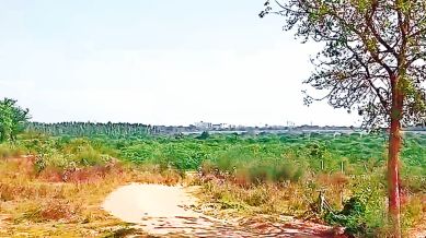 Kahanwadi village, Anand district, land dispute, property land dispute, Anand District Collector Praveen Chaudhary, Ahmedabad news, Gujarat news, India news, Indian express, current affairs