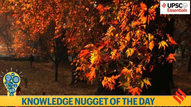 Knowledge Nugget  How is 'Tree Aadhaar' mission for chinar trees important for UPSC Exam