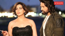 Kirti Kulhari, Himesh Reshammiya film Badass Ravikumar