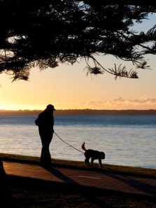 Morning walks vs evening runs: Which is better for your heart?