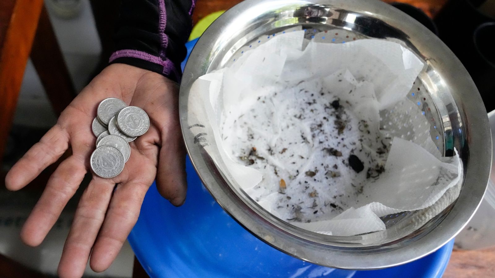 A village in this country is offering cash bounty for dead mosquitoes |  World News - The Indian Express