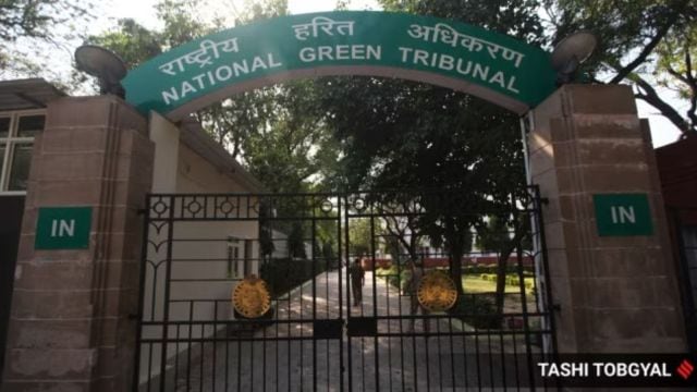 Five years aft  issuing an bid   for freeing the Yamuna floodplains from encroachments, the NGT precocious    pulled up   respective  agencies for non-compliance.