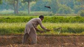 Punjab farmer, detention centre