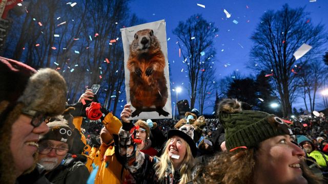 Punxsutawney Phil - Groundhog day