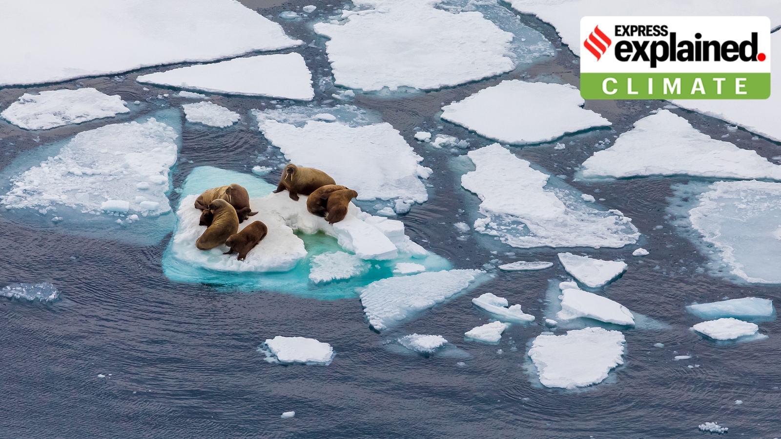 Why global sea ice cover has dipped to record low — what this means
