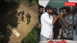 Shoot of Bison wrapped up