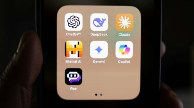 Le Chat lets users generate images and provides search results with citations.