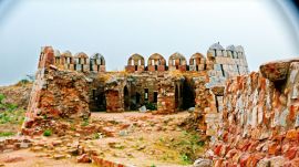 Tughlakabad Fort, Tughlakabad Fort protected area, Archeological Survey of India, delhi high court, delhi news, India news, Indian express, current affairs