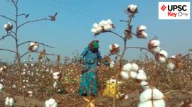 upsc civil services exam, Indian express for upsc, sarkari naukri, government jobs, ias, pcs, ifs, foreign relations, UPSC, upsc 2025, upsc mains 2025, upsc 2025 prelims, UPSC key, Upsc Prelims results, UPSC key terms, upsc news, upsc syllabus, UPSC KEY, Upsc Key terms, IAS current affairs, upsc Key Indian express, The Indian Express current Affairs, Is Indian Express Good for UPSC, upsc today news, upsc newspaper, Indian express today important news for upsc, Indian express monthly current affairs, What should I read in Indian Express for UPSC today, UPSC Answer Key, UPSC Online, IAS, IPS, upsc current affairs news, UPSC KEY News, UPSC Civil services news, UPSC Prelims 2025, UPSC Mains 2025, UPSC Mains 2025, UPSC Mains 2025, UPSC Prelims 2025, UPSC General Studies 1, UPSC General Studies II, UPSC General Studies III, UPSC General Studies IV, upsc, upsc mains 2025, UPSC mains answer writing, upsc GS paper 1, upsc mains GS paper 1, upsc geography, upsc history, gs paper 1, upsc, upsc mains 2025, UPSC mains answer writing, upsc gs paper 4, upsc mains gs paper 4, upsc ethics, gs paper 4, sarkari naukri, government jobs, Current events of national and international importance, History of India and Indian National Movement, Indian Heritage and Culture, History and Geography of the World and Society, Governance, Constitution, Polity, Social Justice and International relations, Technology, Economic Development, Bio diversity, Environment, Security and Disaster Management Ethics, Integrity and Aptitude, Indian Express UPSC Key, Upsc Indian Express, sarkari naukri, upsc CSE, exam key, Union Budget 2025